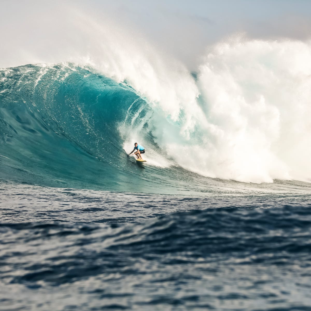 Alex botelho surfer 2025
