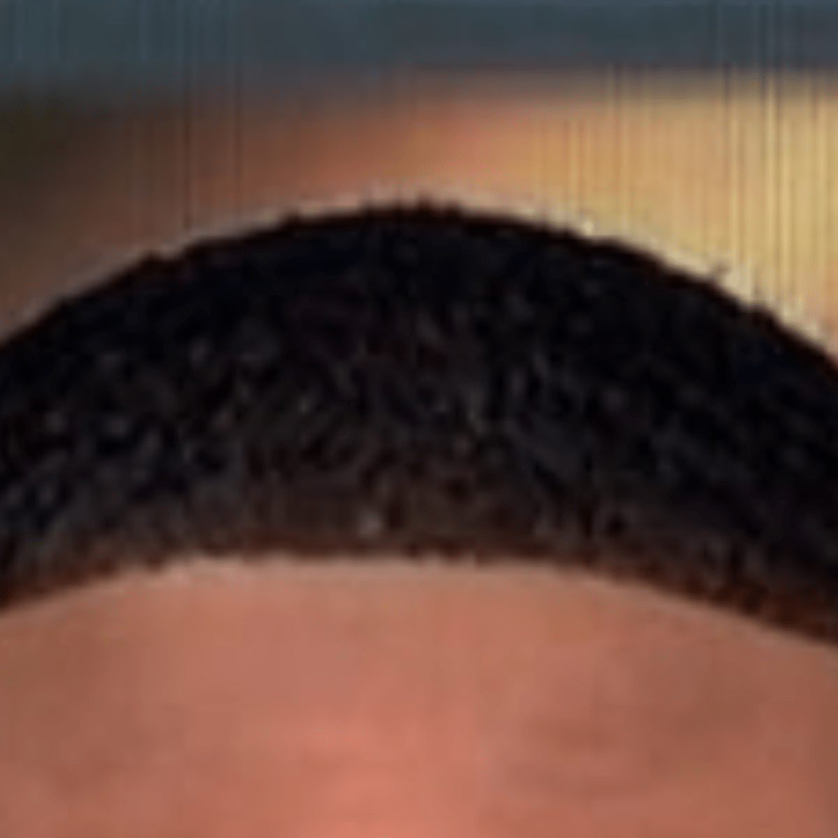 Jalen Rose s Hair On ESPN s First Take Is Going Viral The Spun