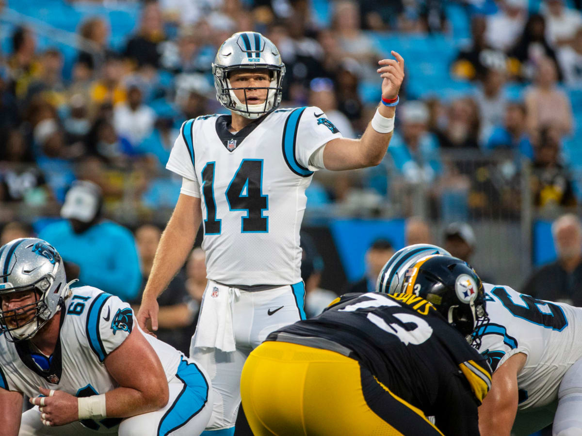 Pittsburgh Steelers vs. Carolina Panthers