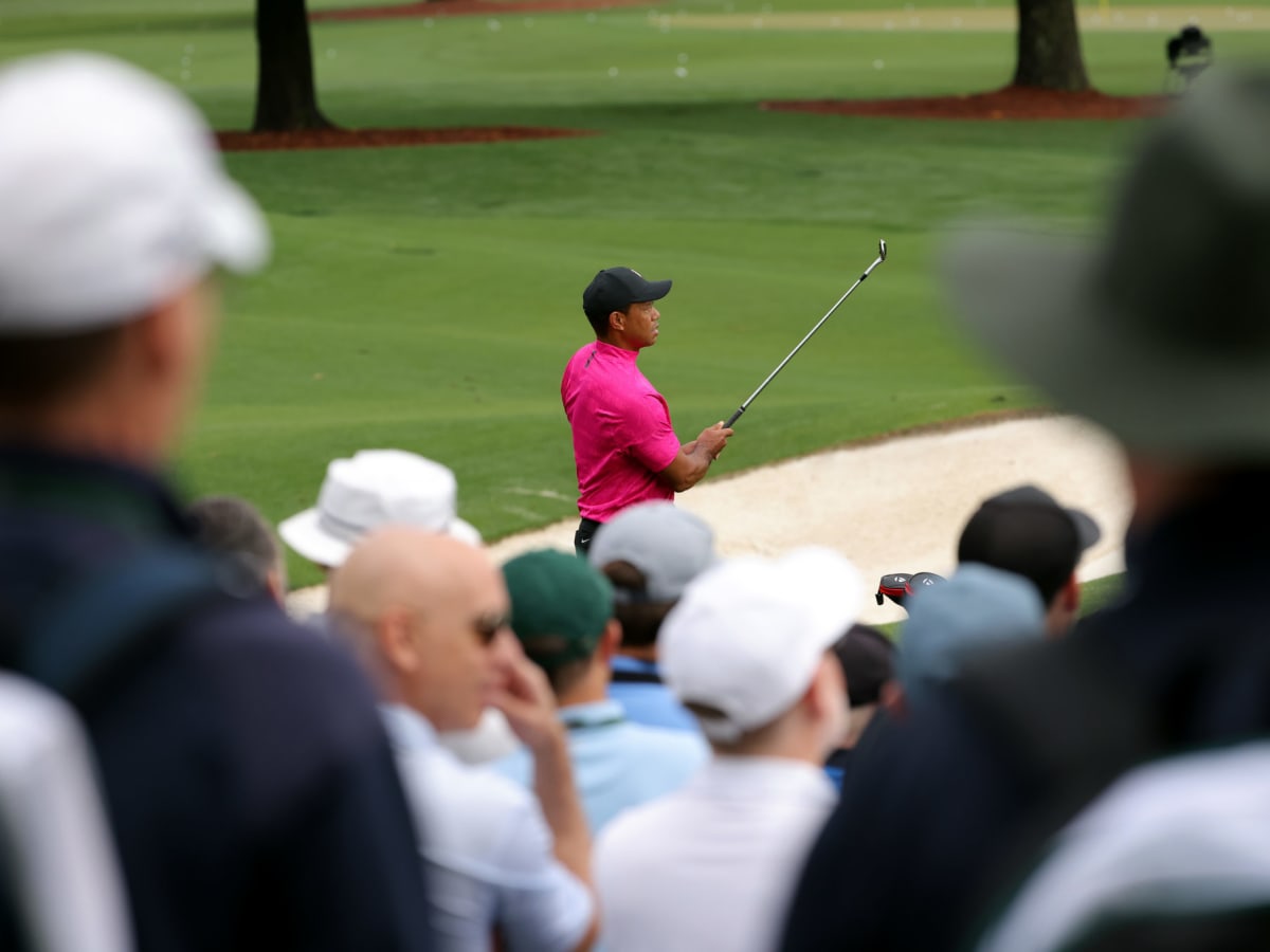Look Photo Of Fan Watching Tiger Woods Goes Viral