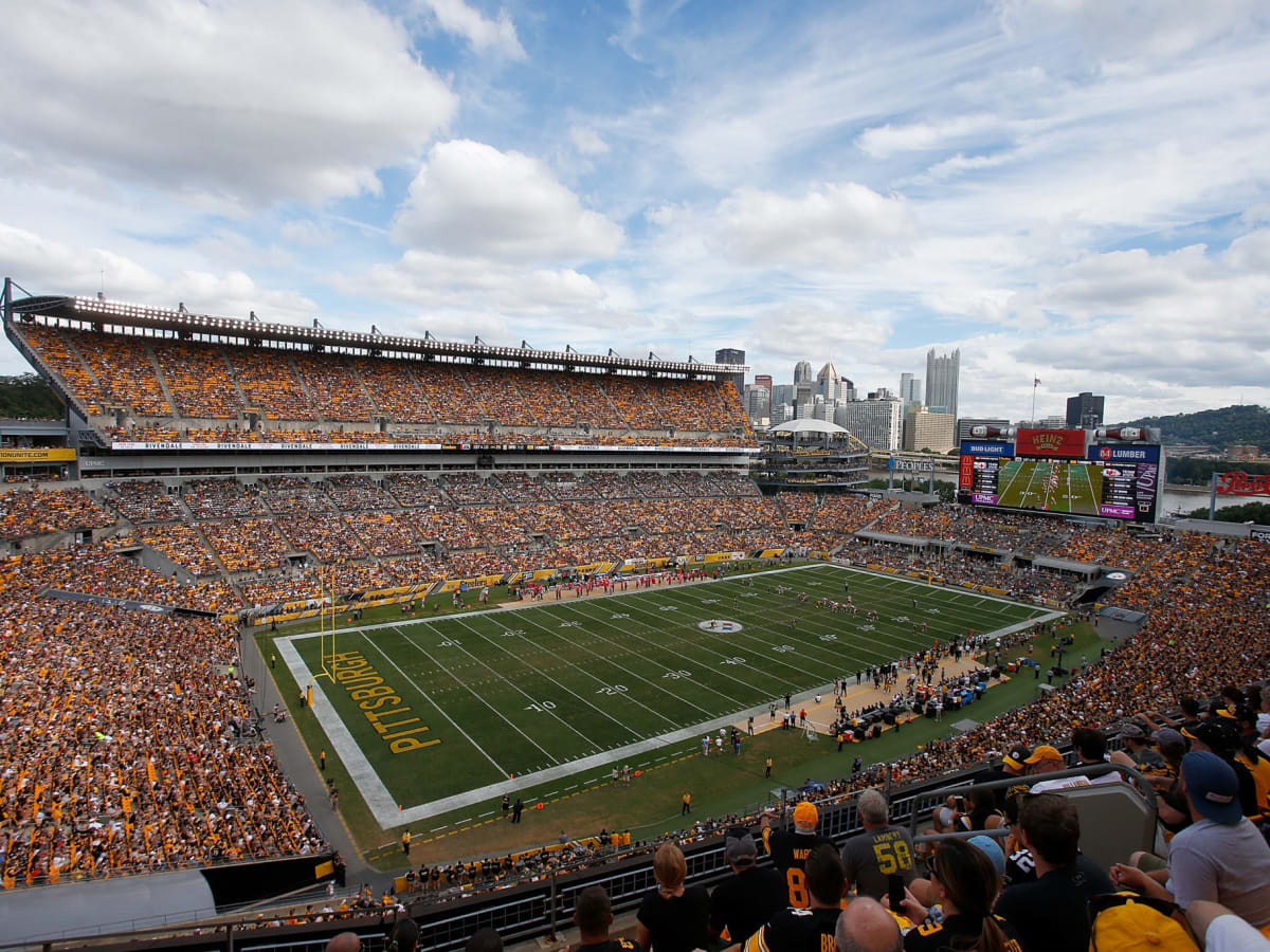 20 December 2009: A Steelers fan attends her first game during the NFL  football game between the Green Bay Packers and the Pittsburgh Steelers at  Heinz Field in Pittsburgh, Pennsylvania. The Steelers