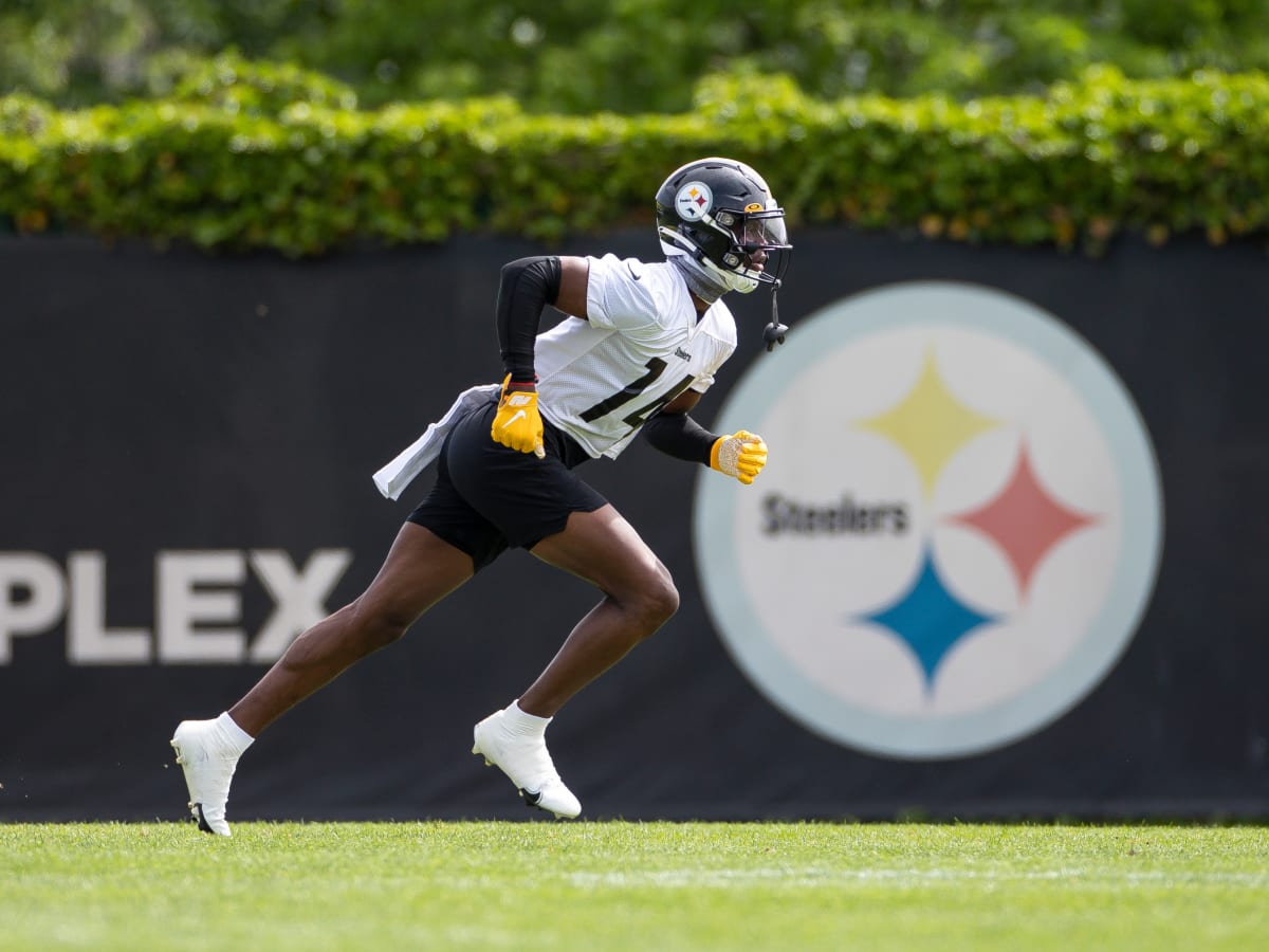 PITTSBURGH, PA - MAY 25: Pittsburgh Steelers safety Minkah