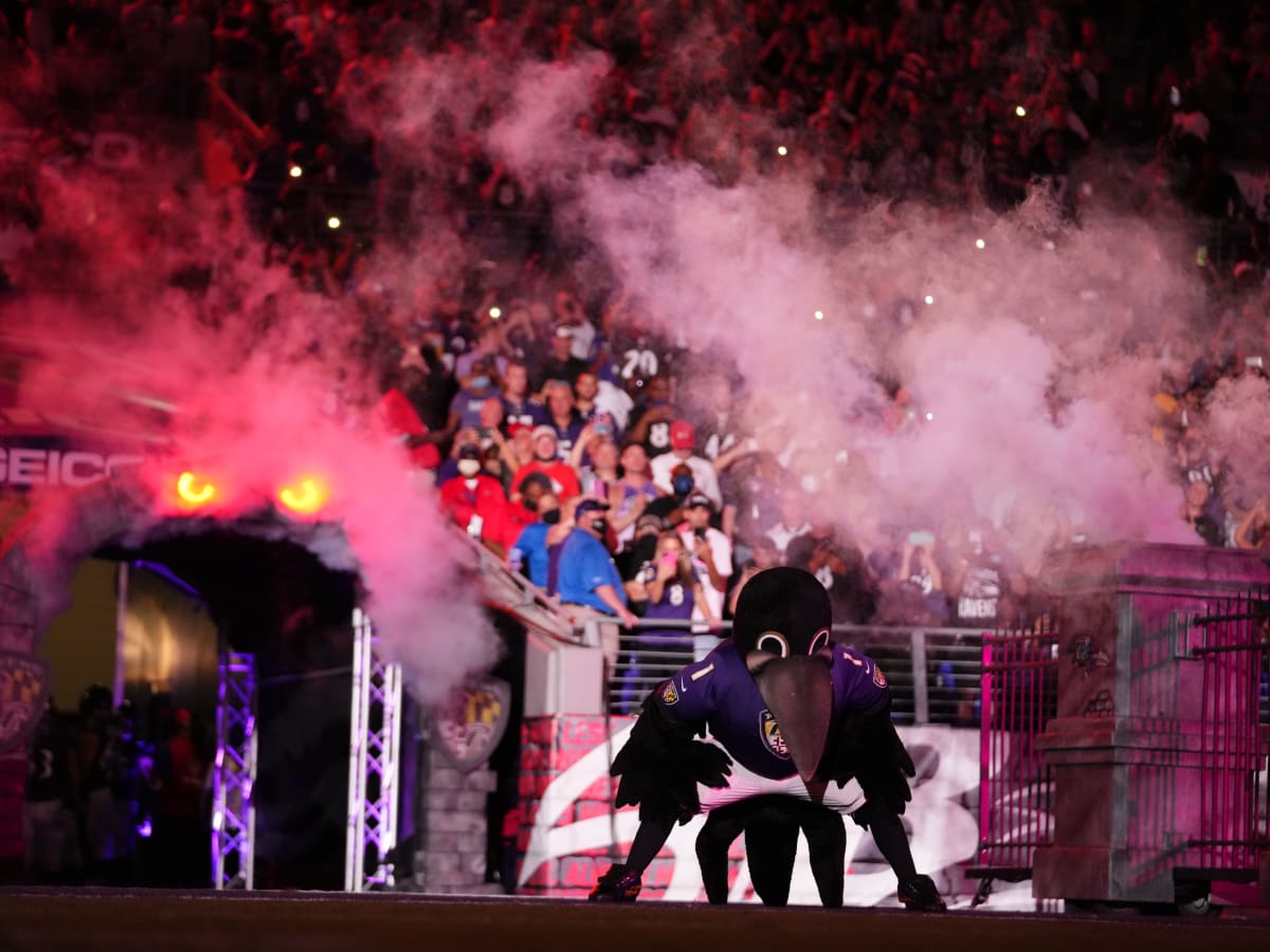 Ravens' mascot. Poe, carted off field at halftime after being hurt against  AAU team