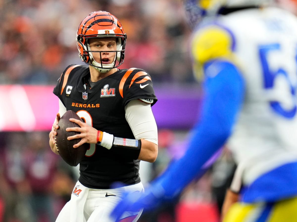 Cincinnati bengals harambe jersey online