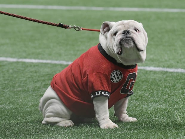 Bulldogs in the NFL - Wildcard Weekend - University of Georgia