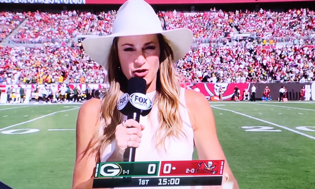 Erin Andrews Apologizes For What Happened During Packers-Cowboys