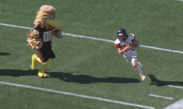 Watch: Falcons' mascot gets in shoving match with youth football player