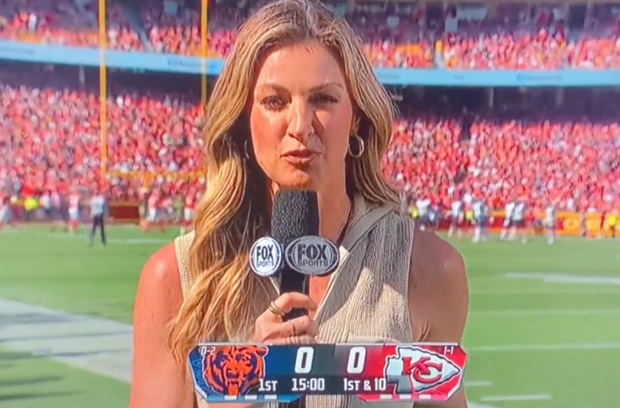 Erin Andrews' New Tattoo Goes Viral During Sunday's Game - The