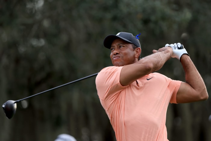 Tiger Woods at the PNC Championship.