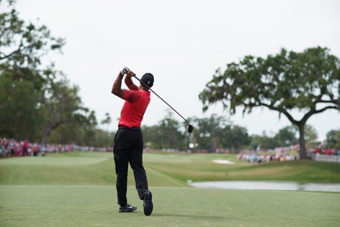A picture of Tiger Woods taken from behind.