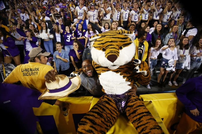 LSU's mascot interacting with fans.
