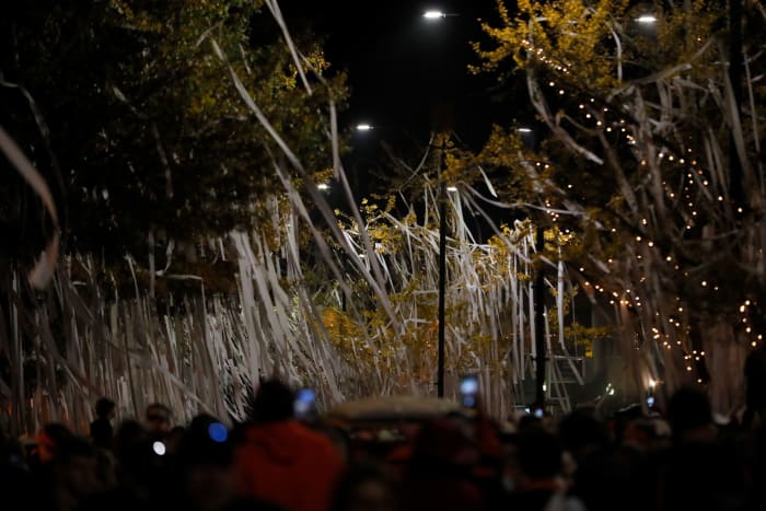 Auburn fans toilet paper Toomer's Corner.