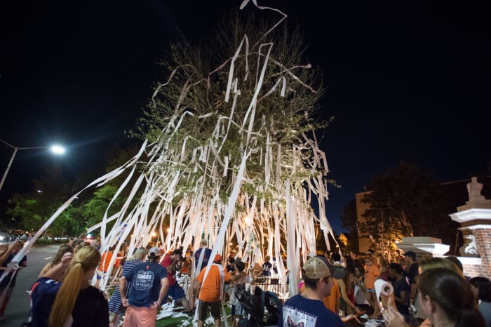 Auburn's Toomer's corner.