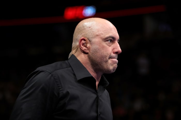 A closeup of Joe Rogan.