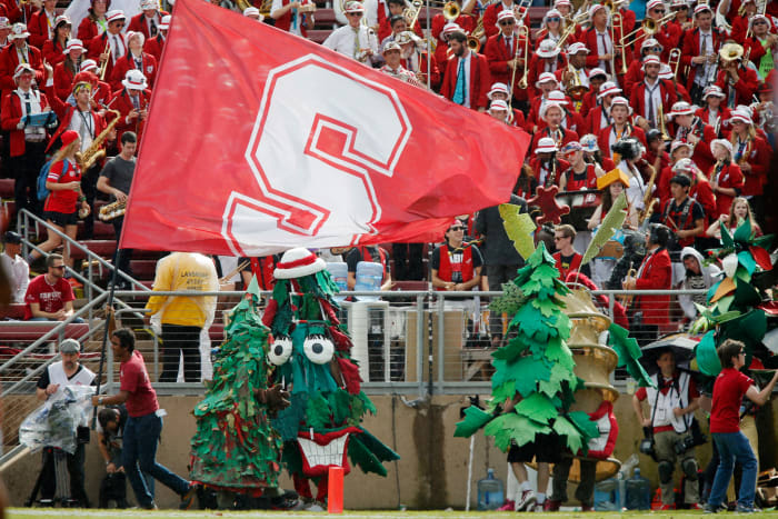 Stanford's tree mascot at a football game.