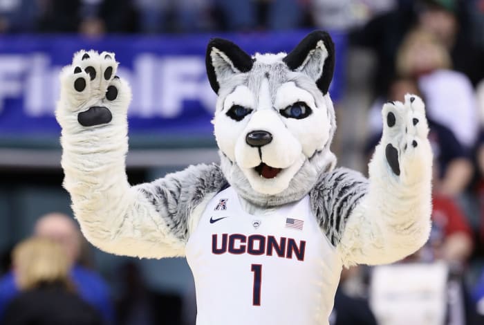 UConn Huskie's mascot with both arms up.