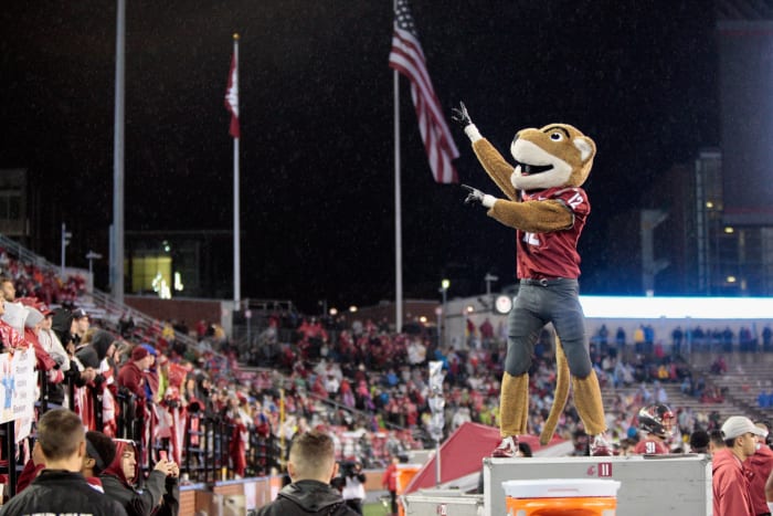 Washington State mascot works to pump up the crowd.
