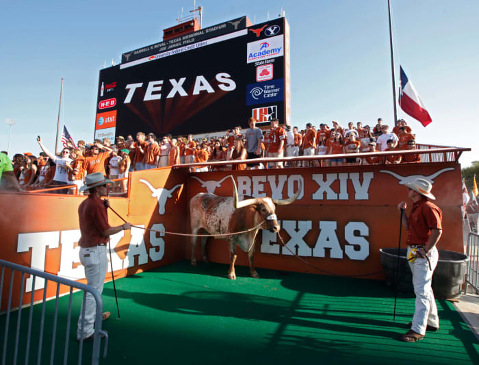 The Texas Longhorns mascot at a football game.
