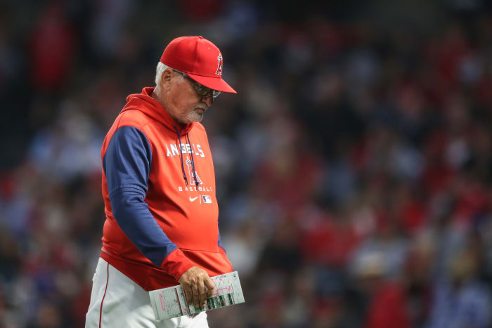 ANAHEIM, CALIFORNIA - MAY 27: Manager Joe Maddon #70 of the Los Angeles Angels leaves a pitching mound visit in the fifth inning against the Toronto Blue Jays at Angel Stadium of Anaheim on May 27, 2022 in Anaheim, California. (Photo by Meg Oliphant/Getty Images)