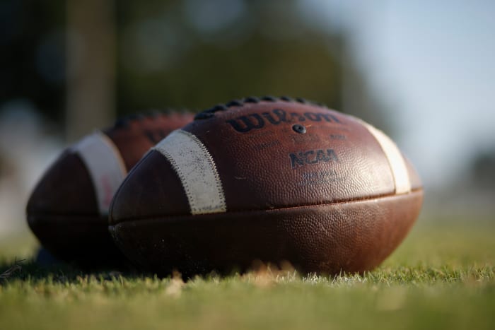 Close up of two footballs on grass.