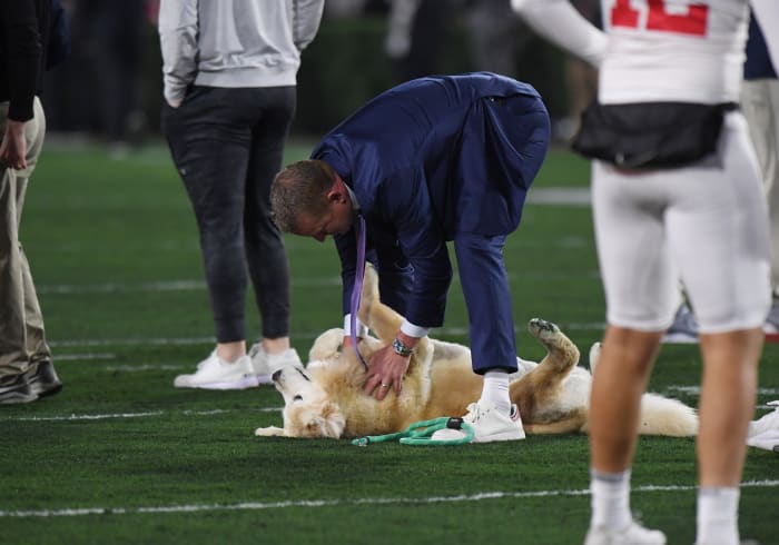 Kirk Herbstreit's Dog Will Make Rose Bowl History On Sunday - The Spun