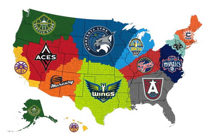 Map Reveals WNBA's Most Popular Team By State - It's Not Close - The Spun