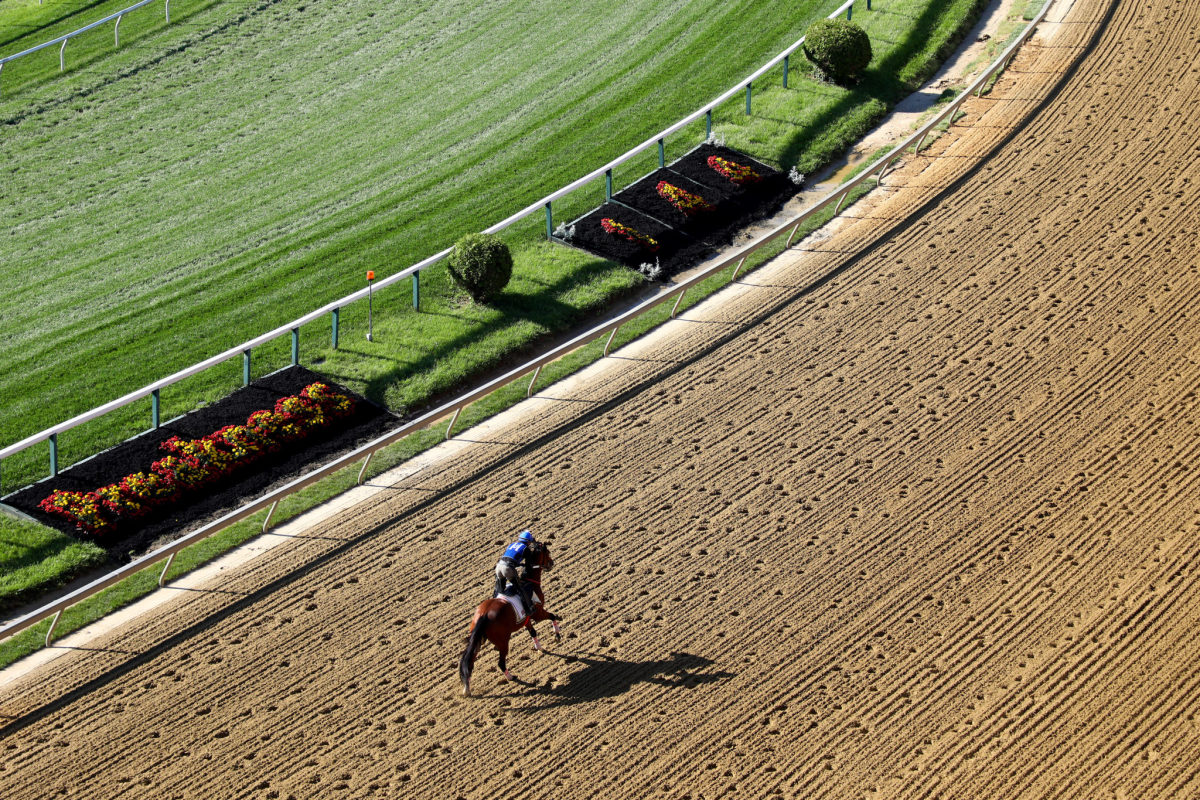 Video: A Jockey Was Tossed Off His Horse At The Preakness - The Spun