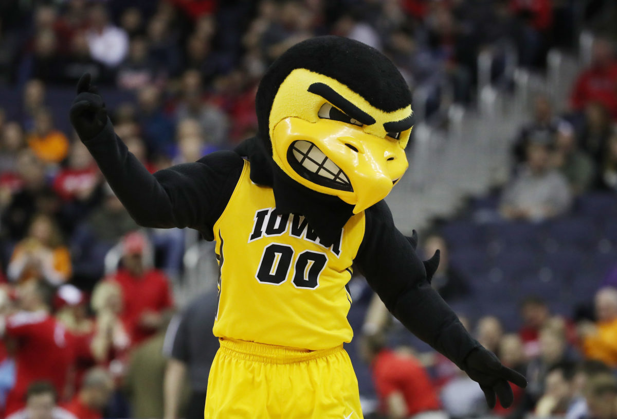 A closeup of Iowa's mascot during a basketball game.
