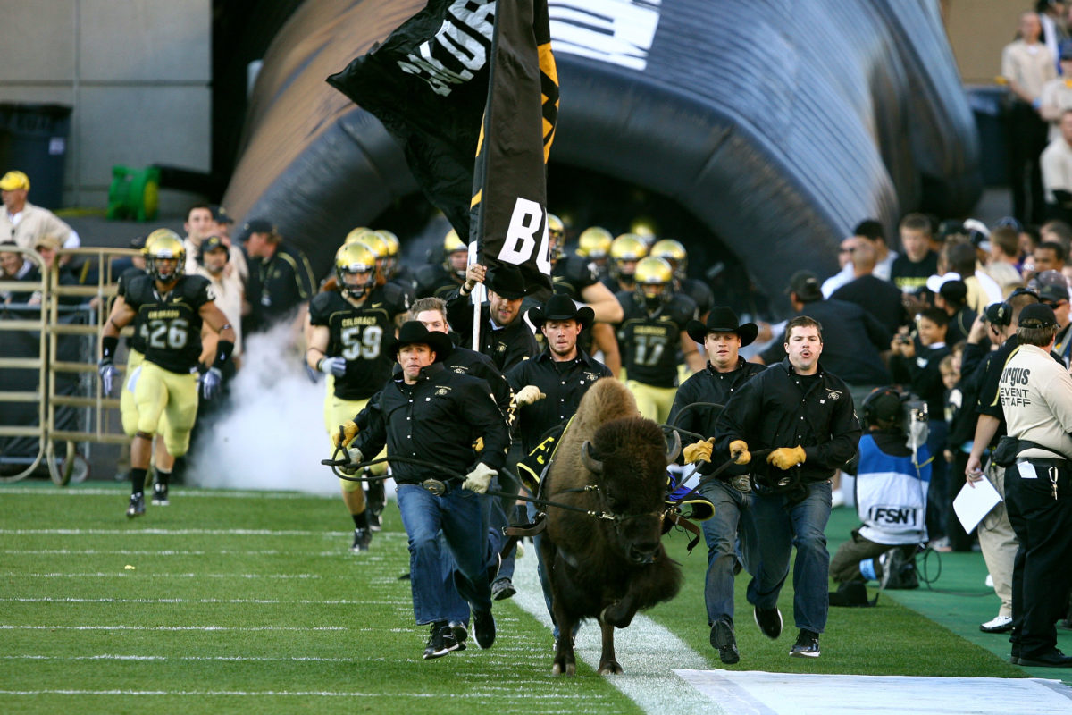 Colorado's mascot running onto the field.
