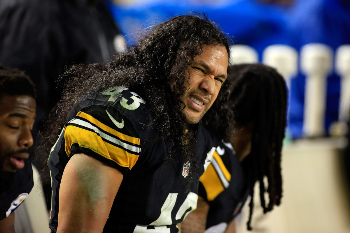 A closeup of Troy Polamalu on the sideline for the Steelers.