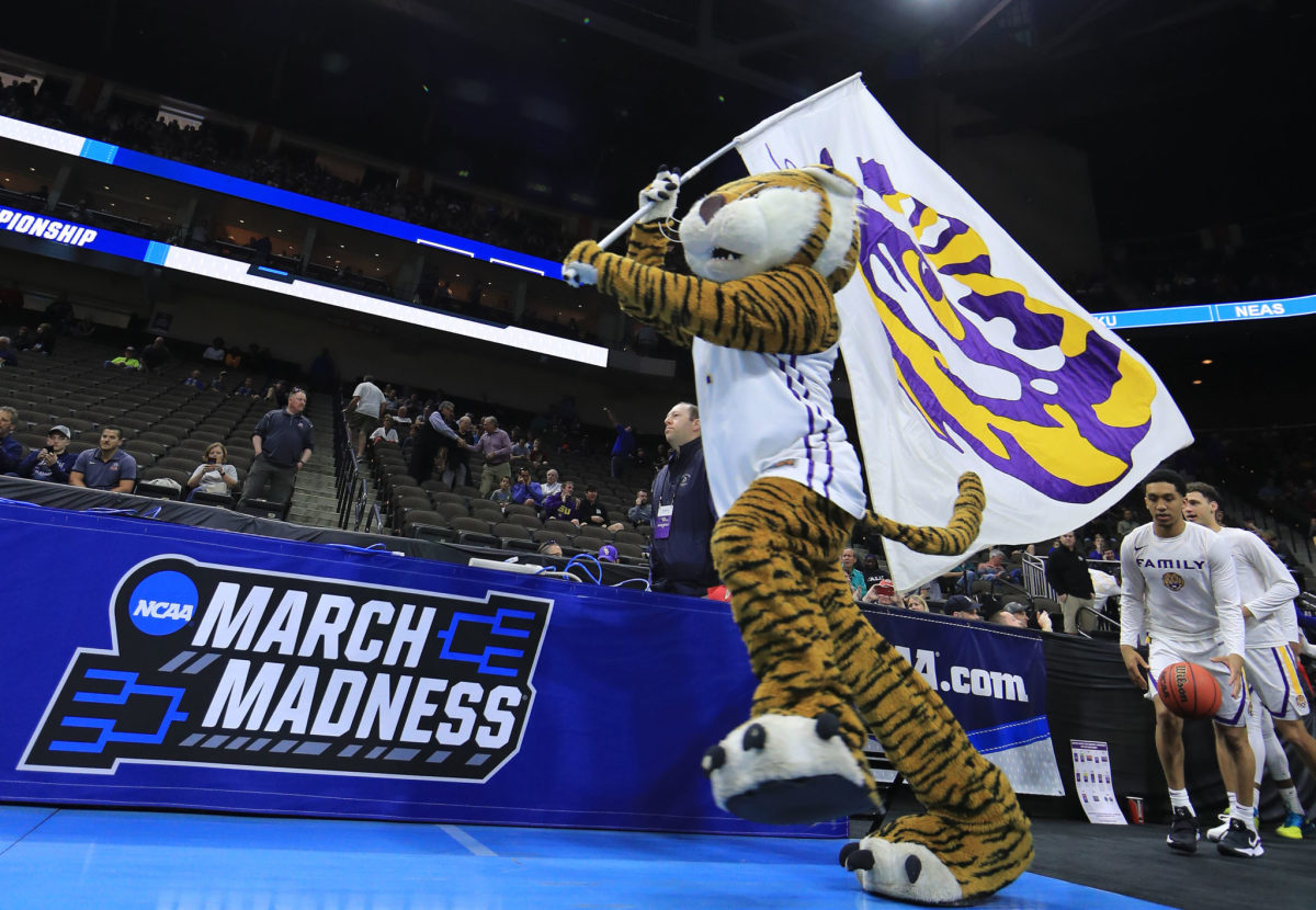 LSU's mascot leading the basketball team onto the court.