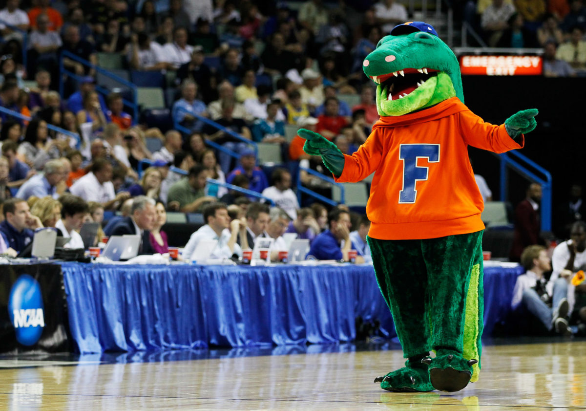 The Florida Gators mascot performing on the court during a basketball game.