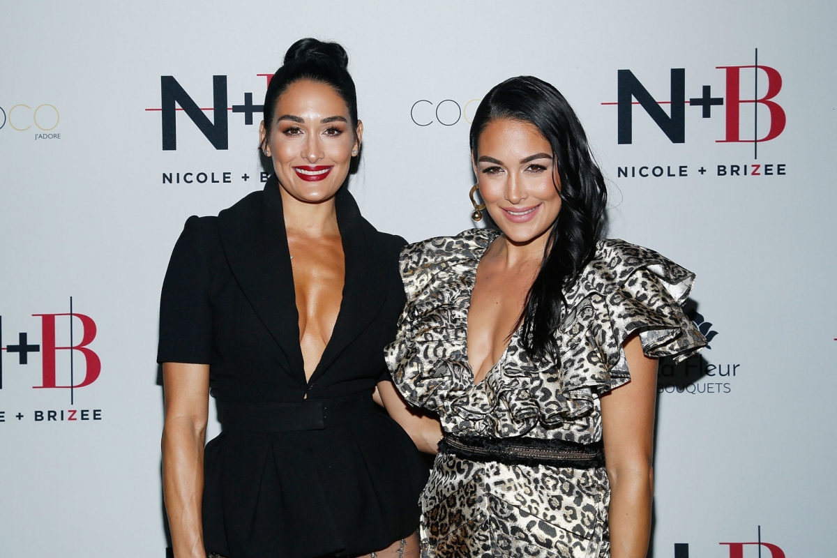 Nikki Bella and Brie Bella on the red carpet.