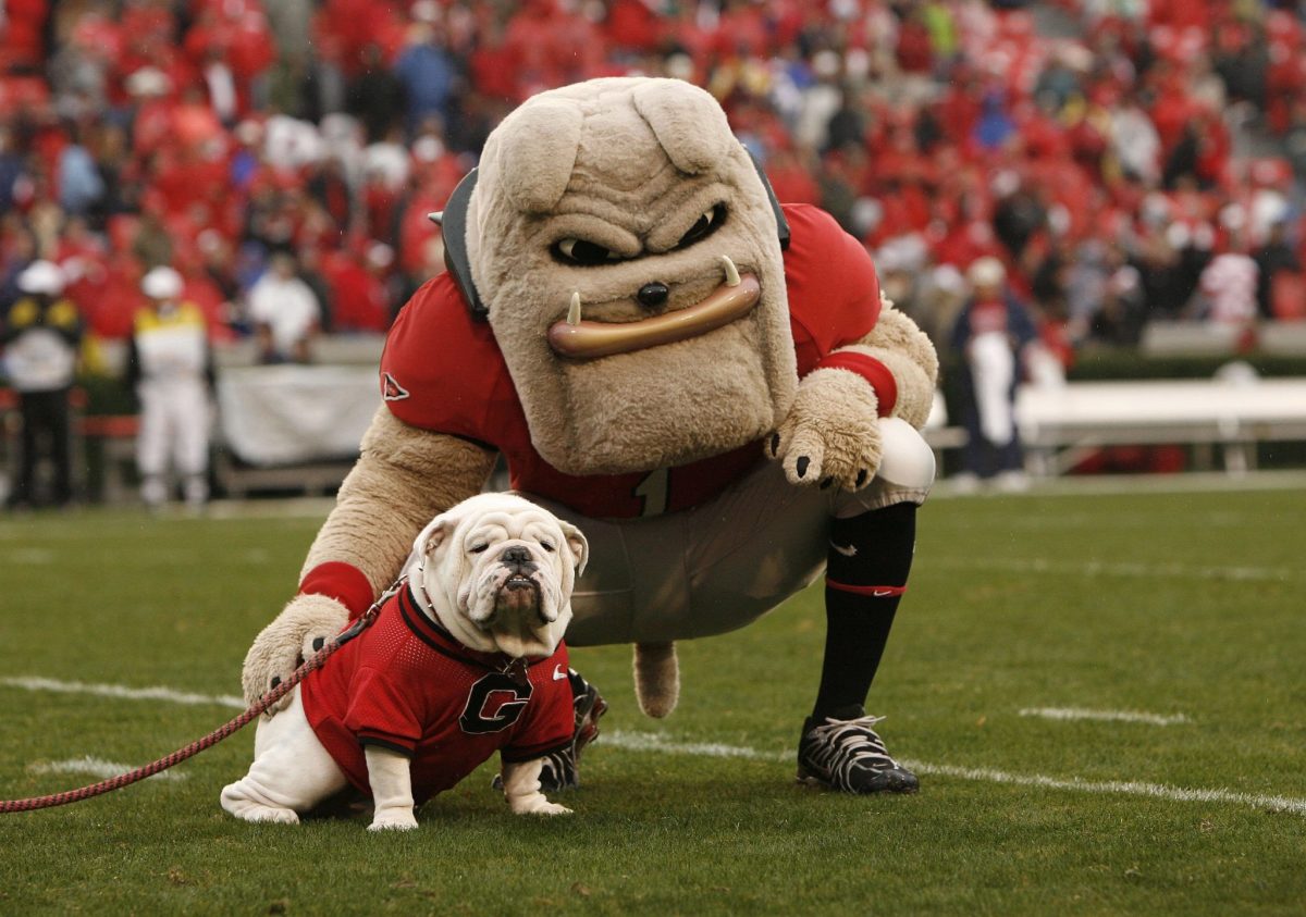 Georgia's two mascots sitting on the field together before a game.