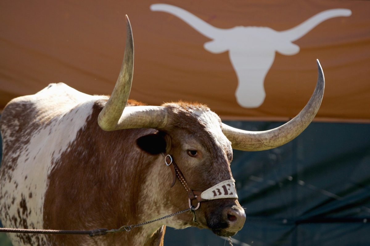 The Texas Longhorns mascot during a game.