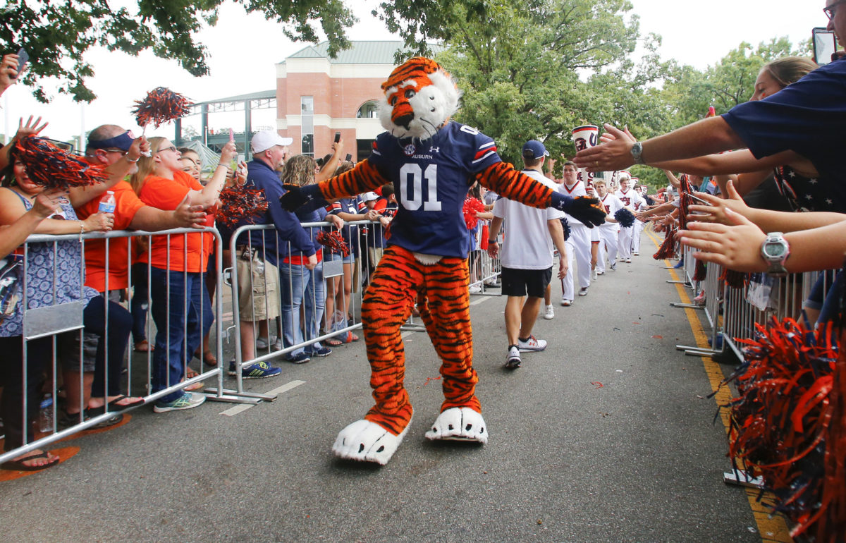 Auburn's mascot greeting fans.