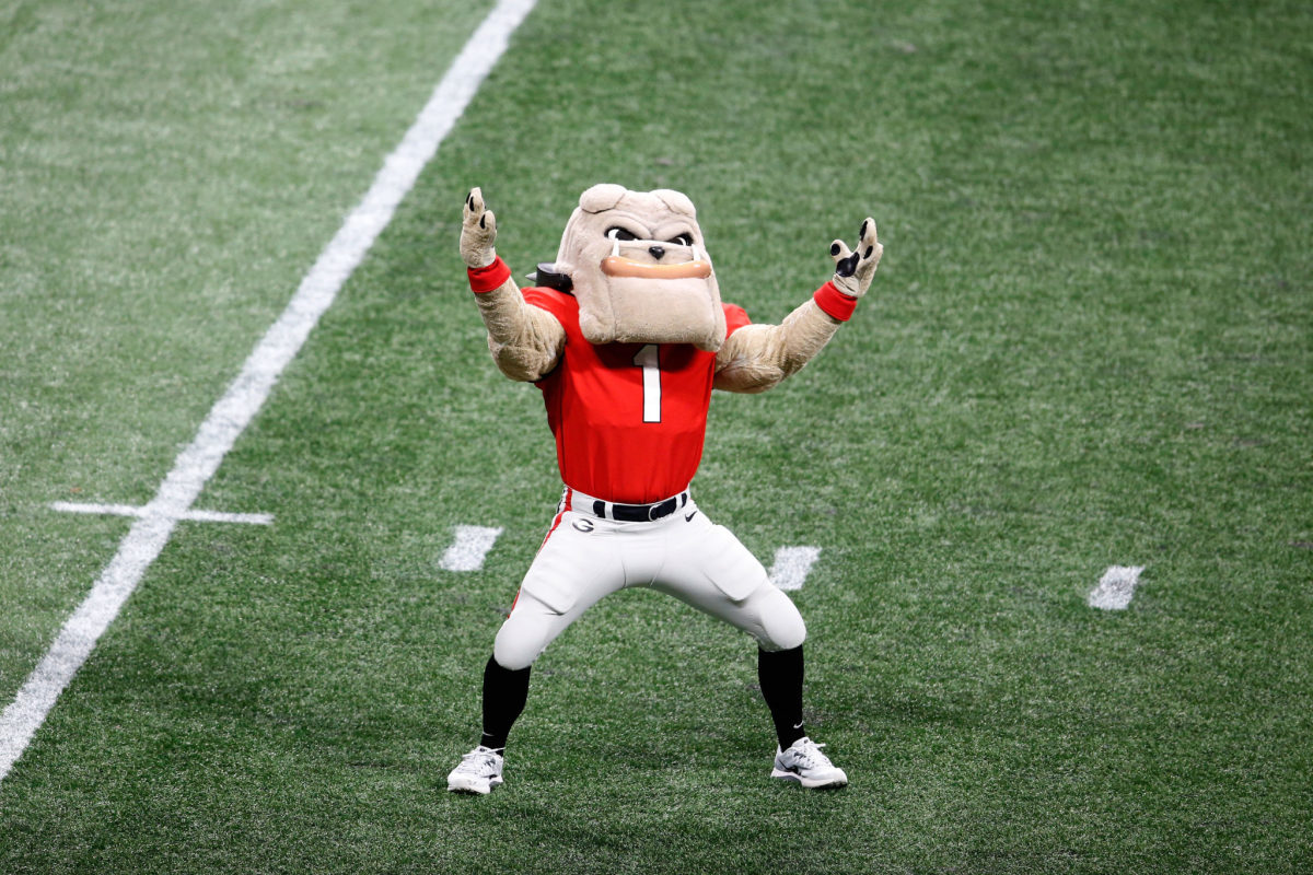 Georgia's mascot dancing on the field.