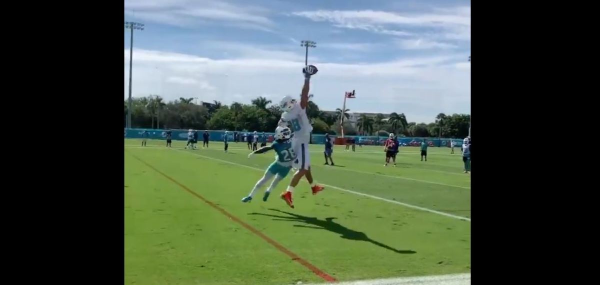 Watch the Magic of Miami Dolphins' Mike Gesicki's One-Hand Grabs