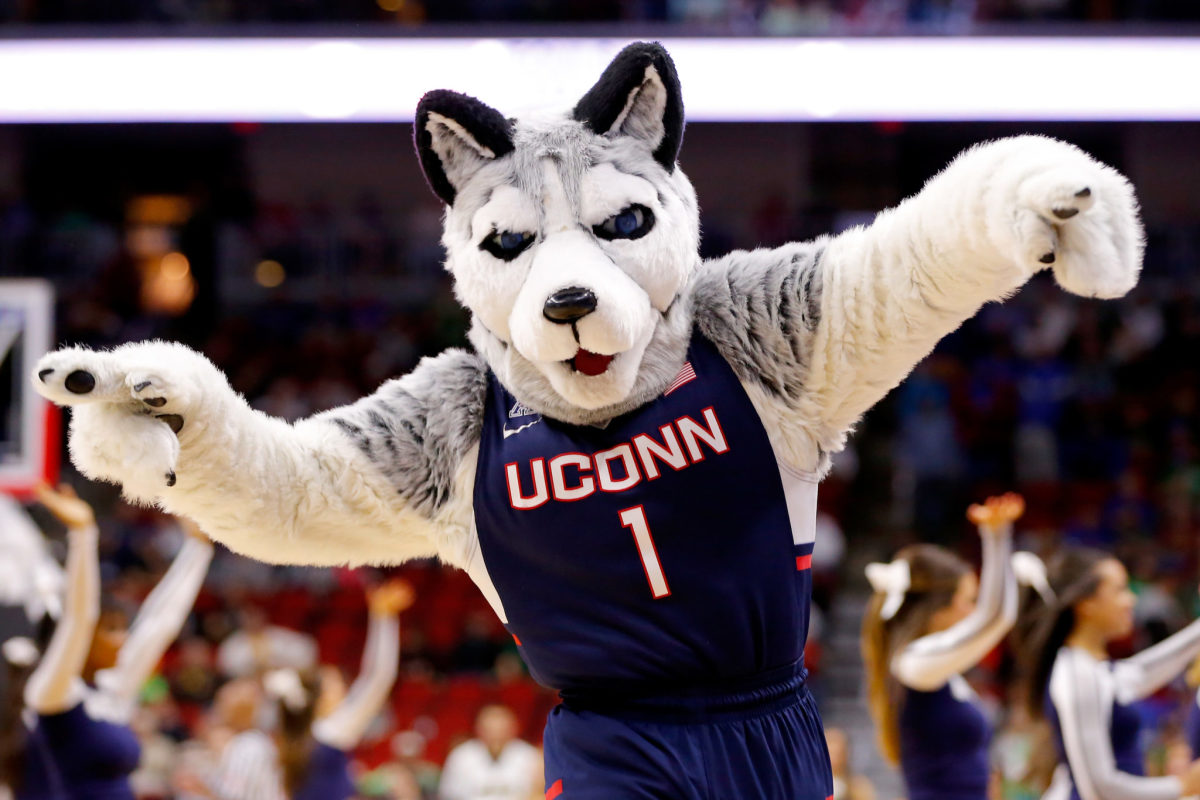 UConn Huskie's mascot running with both arms up.
