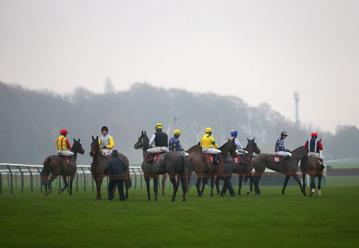 an overview of the haydock horse racing course