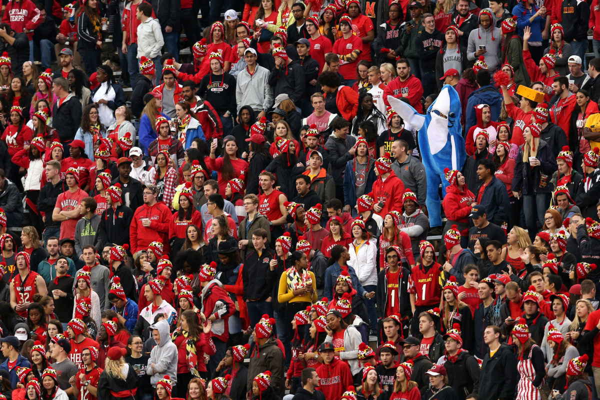 a fan in the stands of the maryland-wisconsin game