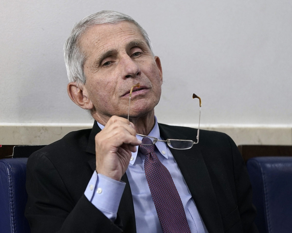 Dr. Anthony Fauci during a White House briefing.
