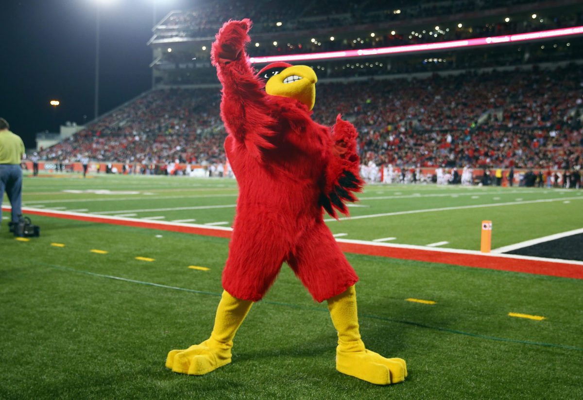 A solo shot of Louisville's mascot performing at a football game.