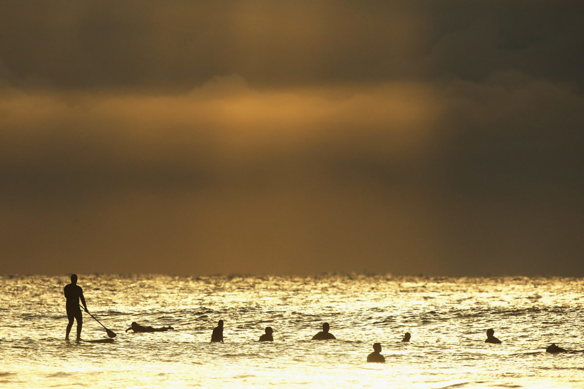 Surfers in the ocean.