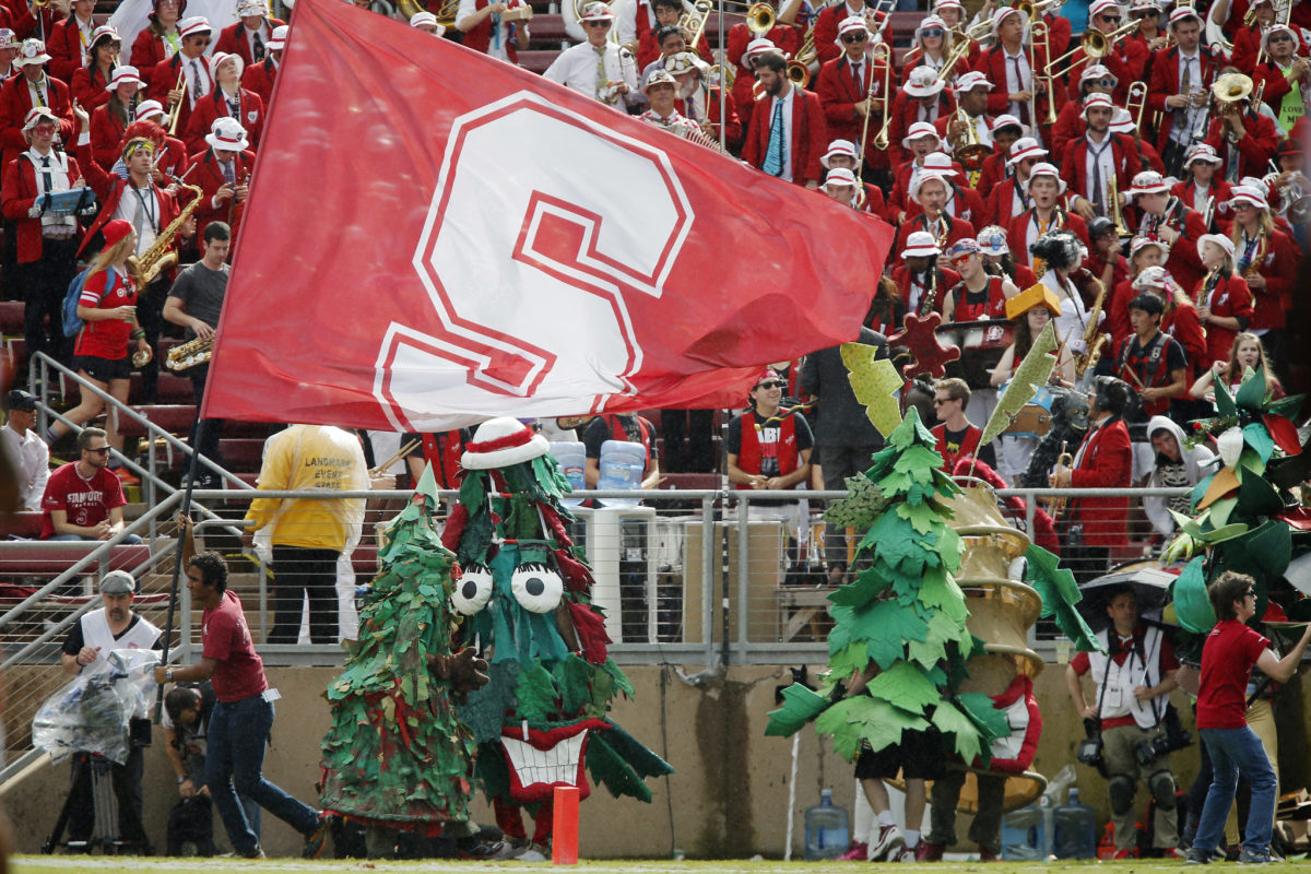 Stanford's tree mascot at a football game.
