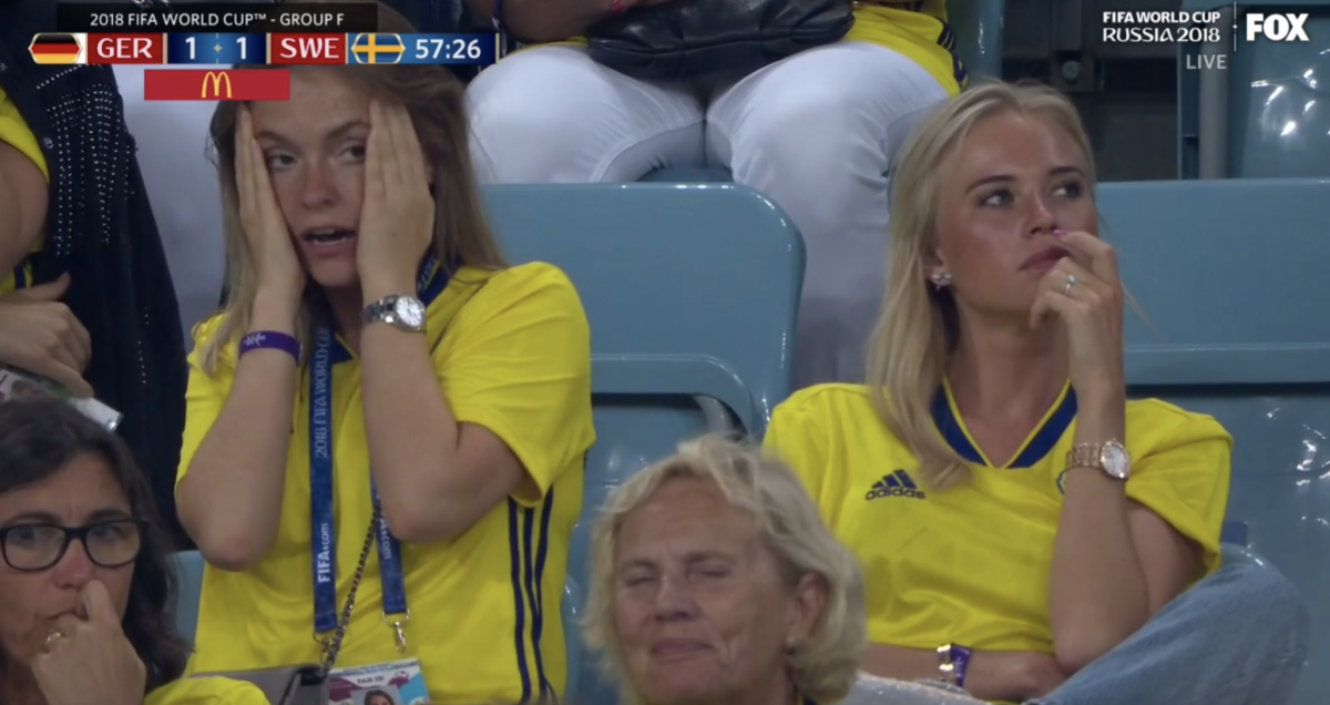 world cup fans at sweden-germany