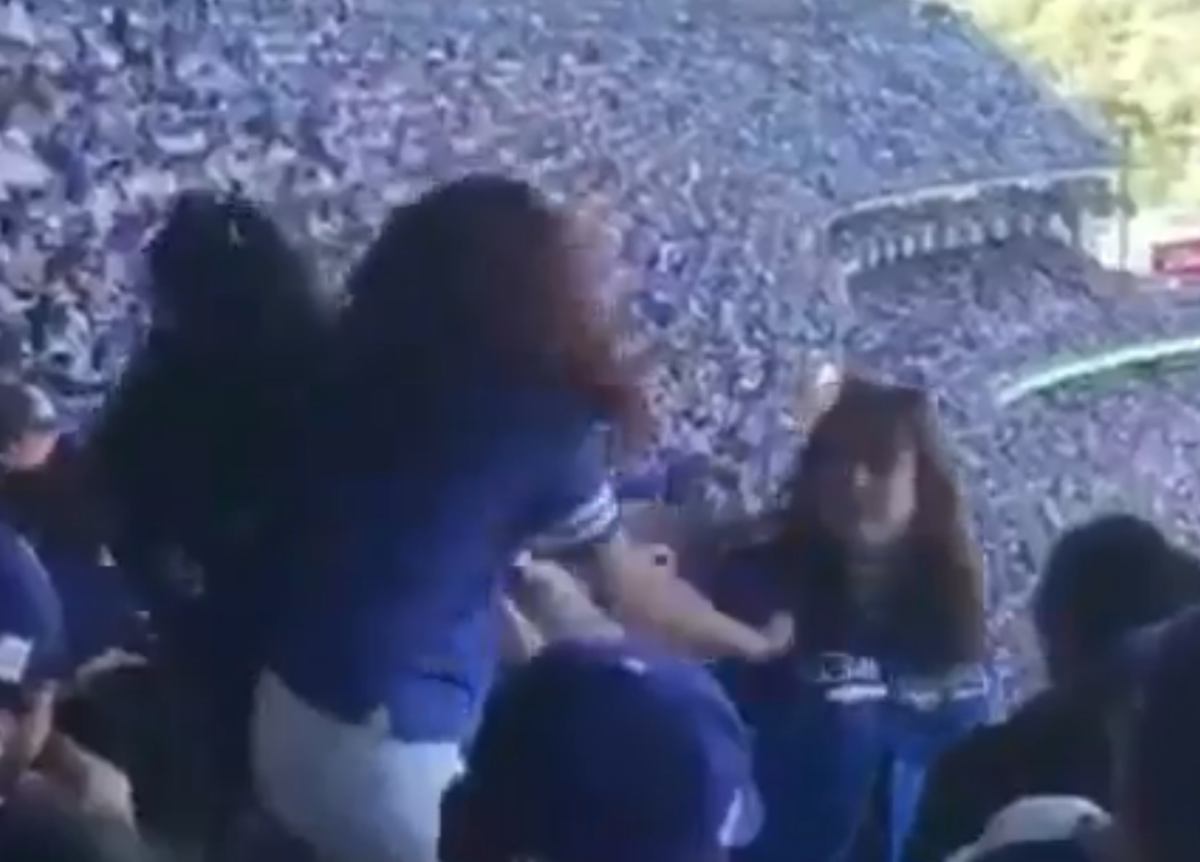 Women at the Dodgers game engage in a fight.