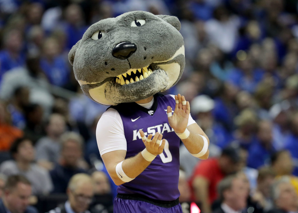 Willie the Wildcat cheers on his team.