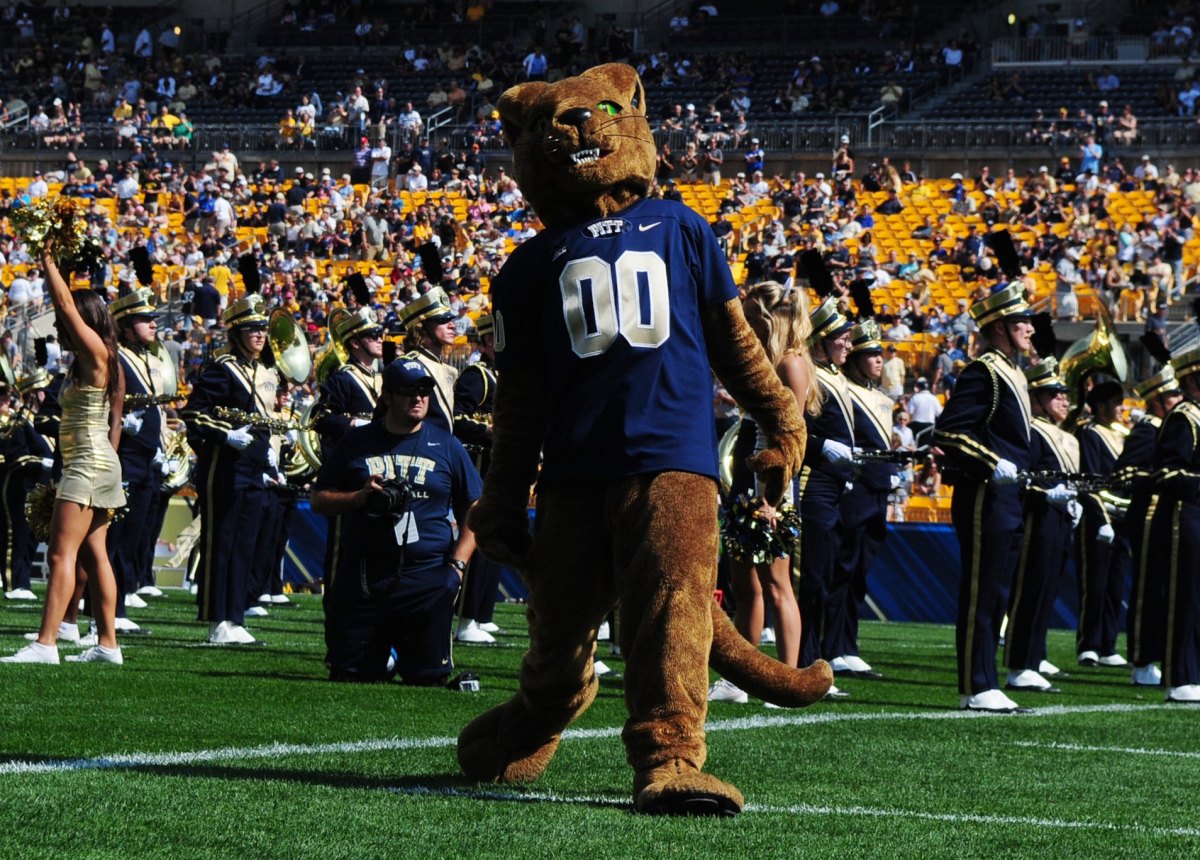 Pitt's mascot on the football field.