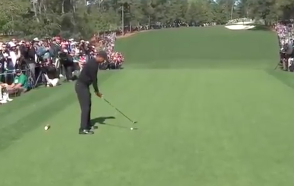 Is Tiger Woods ever hit a hole in one?